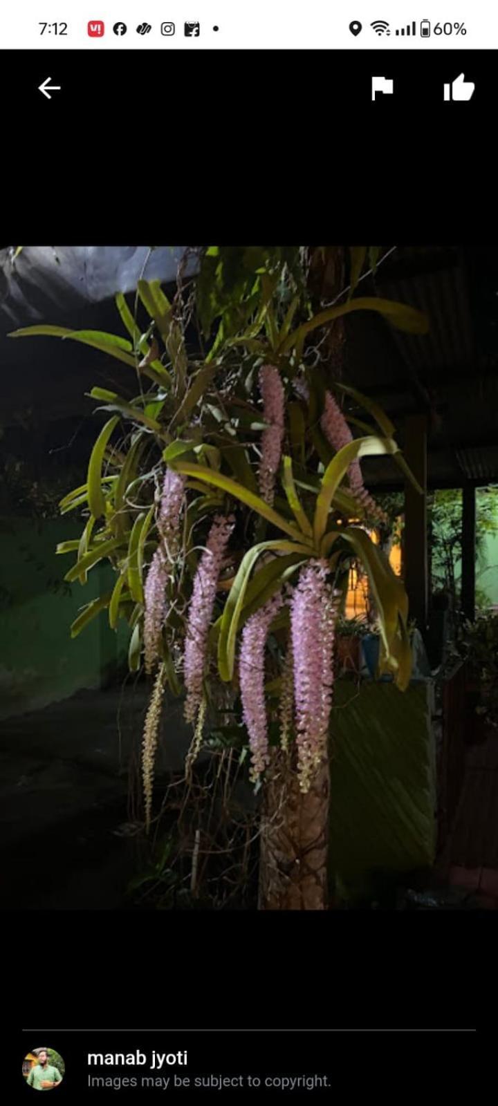 Orchid Park Homestay Sivasagar المظهر الخارجي الصورة